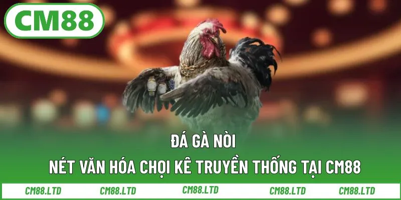 Đá Gà Nòi – Nét Văn Hóa Chọi Kê Truyền Thống Tại CM88